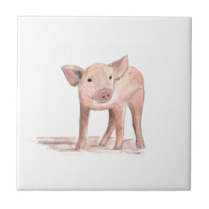 Azulejo De Cerâmica Leitão-bebê Porco de criação Animais de criação