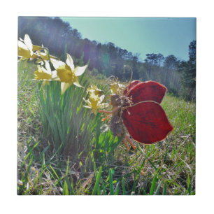 Azulejo De Cerâmica Leite e flores amarelas