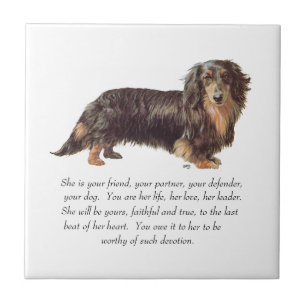 Azulejo De Cerâmica Lembrança de Dachshund - Fêmea
