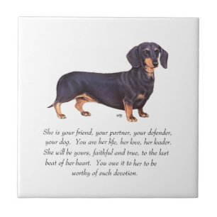 Azulejo De Cerâmica Lembrança de Dachshund - Fêmea