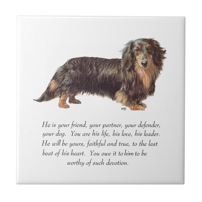 Azulejo De Cerâmica Lembrança de Dachshund - Macho (Frente)