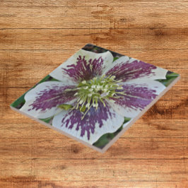 Azulejo De Cerâmica Lenten Rosa Hellebore Floral Cerâmica Azulejo