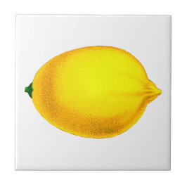 Azulejo De Cerâmica Léon design de aquarela