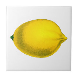 Azulejo De Cerâmica Léon design de aquarela