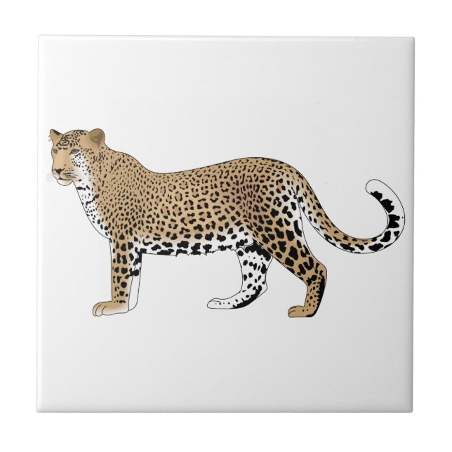 Azulejo De Cerâmica Leopardo (Frente)