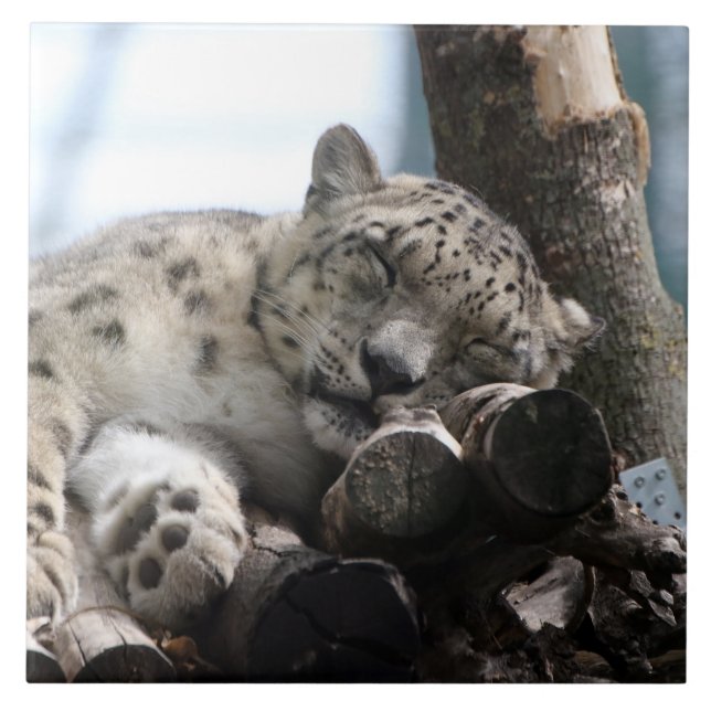 Azulejo De Cerâmica Leopardo 002 (Frente)
