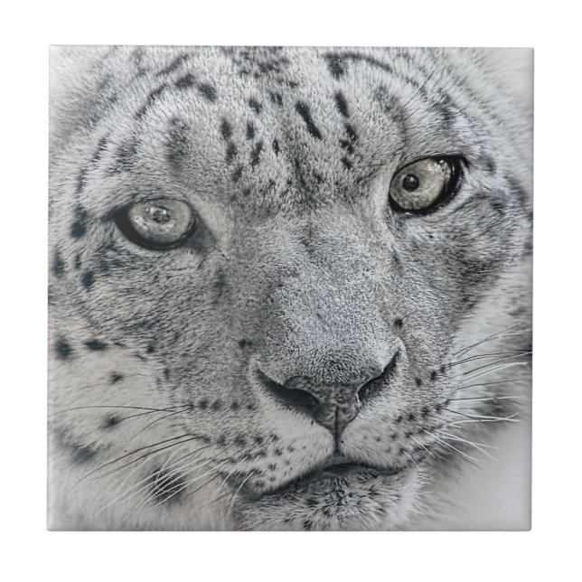 Azulejo De Cerâmica Leopardo branco exótico (Frente)
