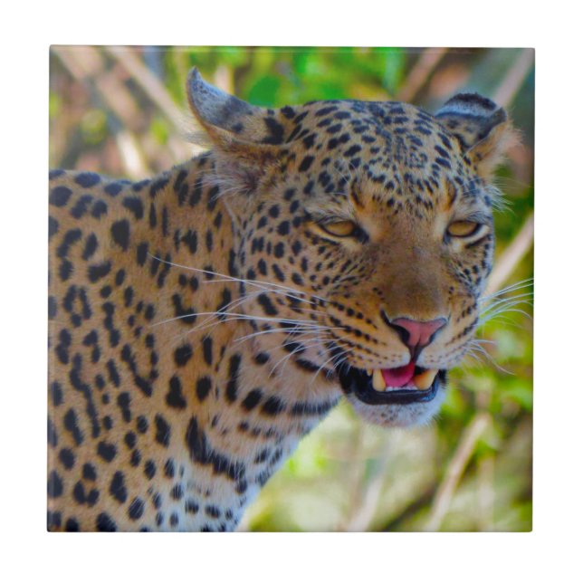 Azulejo De Cerâmica Leopardo Manchado (Frente)