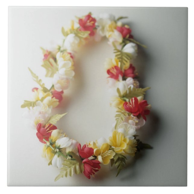 Azulejo De Cerâmica Leus (Frente)