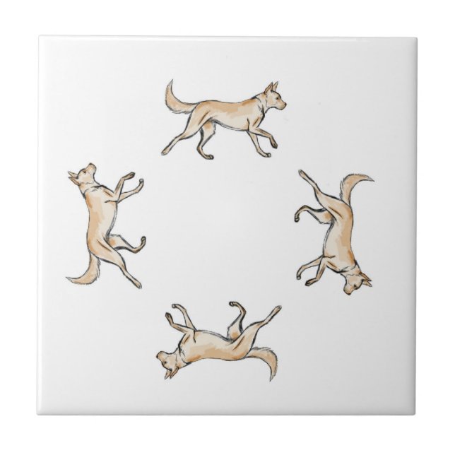 Azulejo De Cerâmica Lexi Trot   (Frente)