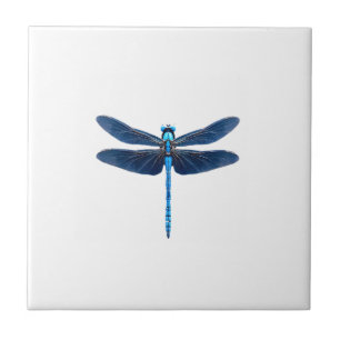 Azulejo De Cerâmica Libélula Azul - Entusiasta de Insetos Animais Silv
