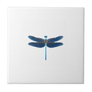 Azulejo De Cerâmica Libélula Azul - Inseto Vida Selvagem Amante Ento