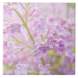 Azulejo De Cerâmica Lilac Flowers Mist