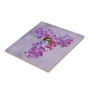 Azulejo De Cerâmica Lilacs na primavera