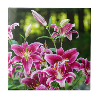 Azulejo De Cerâmica Lilies Stargazer