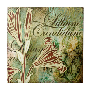 Azulejo De Cerâmica Lillium Candidum