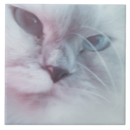 Azulejo De Cerâmica Lilly