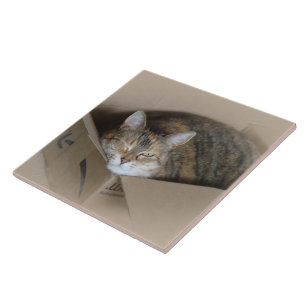 Azulejo De Cerâmica Lily #3