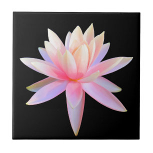 Azulejo De Cerâmica Lily Lotus, Legal, Linda, Rosa, Lily