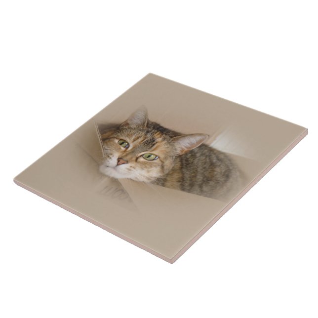 Azulejo De Cerâmica Lily nº 2 (Lateral)