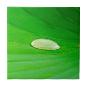 Azulejo De Cerâmica Lily Pad Cerâmica Azulejo