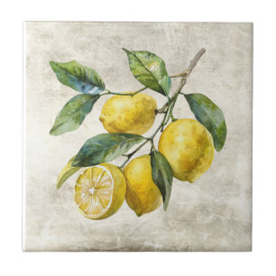 Azulejo De Cerâmica Limões Rústicos Cerâmica Cottage Shabby Chic