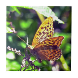 Azulejo De Cerâmica Linda Borboleta Manchada de Laranja e Preto