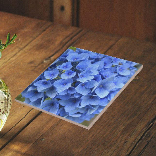 Azulejo De Cerâmica Linda Hortênsia Azul Florir Floral (In Situ)