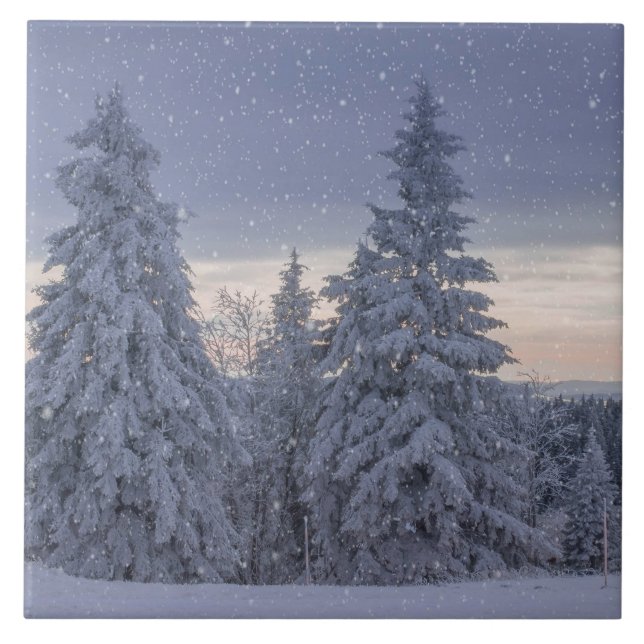 Azulejo De Cerâmica Linda paisagem de inverno como nevando (Frente)