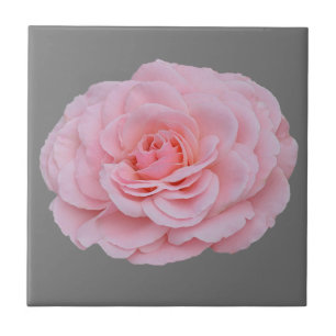 Azulejo De Cerâmica Linda rosa rosa rosa