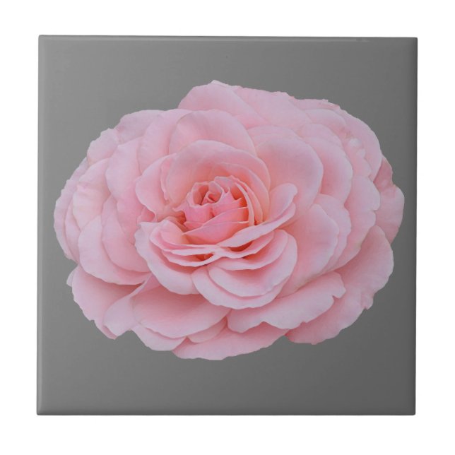 Azulejo De Cerâmica Linda rosa rosa rosa (Frente)