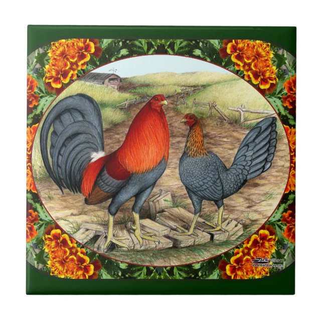 Azulejo De Cerâmica Lindas Aves de Briga (Frente)