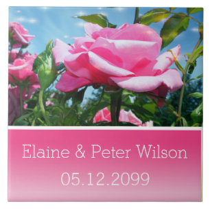 Azulejo De Cerâmica Lindas flores de rosa cor-de-rosa no aniversário d