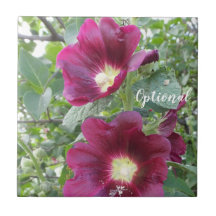 Lindas Flores Vermelhas Profundas e Folhas Verde