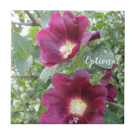 Azulejo De Cerâmica Lindas Flores Vermelhas Profundas e Folhas Verde