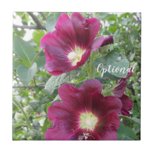 Azulejo De Cerâmica Lindas Flores Vermelhas Profundas e Folhas Verde