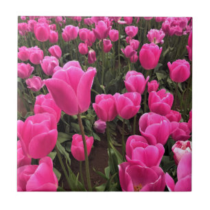 Azulejo De Cerâmica Lindas Tulipas Rosa, Oregon