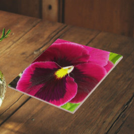 Azulejo De Cerâmica Lindo Floral de Amor-Perfeito Roxo