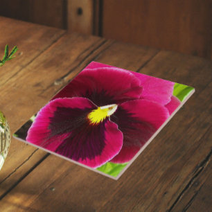Azulejo De Cerâmica Lindo Floral de Amor-Perfeito Roxo