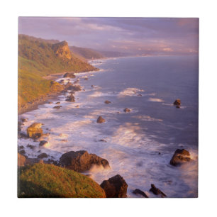 Azulejo De Cerâmica Linha costeira de Sequoias, Califórnia