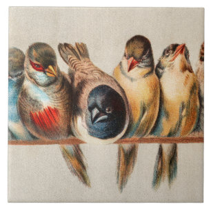 Azulejo De Cerâmica Linha de Aves e Dove