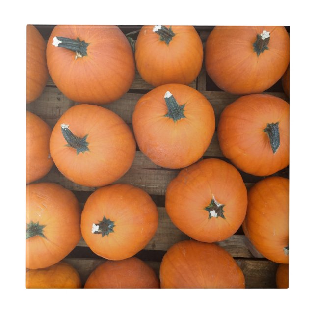 Azulejo De Cerâmica Linhas de Abóbora (Frente)