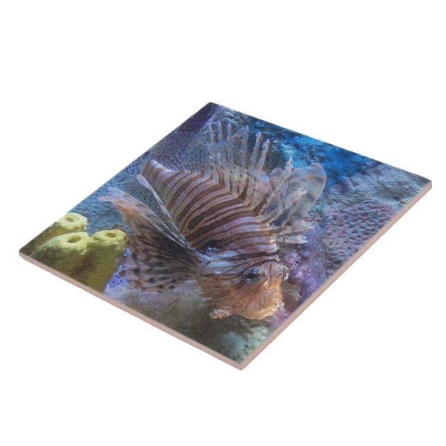 Azulejo De Cerâmica Lionfish (Lateral)