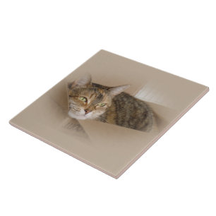 Azulejo De Cerâmica Lírio #1