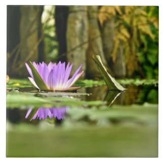 AZULEJO DE CERÂMICA LÍRIO DE ÁGUA ROXO QUE REFLETE EM UMA LAGOA