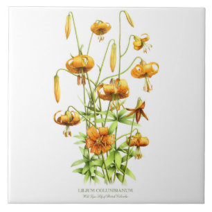 Azulejo De Cerâmica Lírio Tigre Laranja Selvagem Arte Floral Botânica