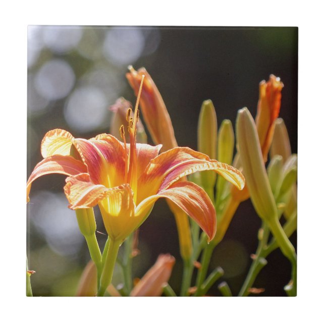 Azulejo De Cerâmica Lírios ao Sol (Frente)