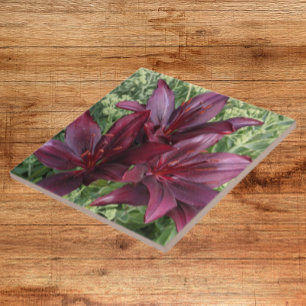 Azulejo De Cerâmica Lírios Asiáticos Vermelhos Escuros Floral