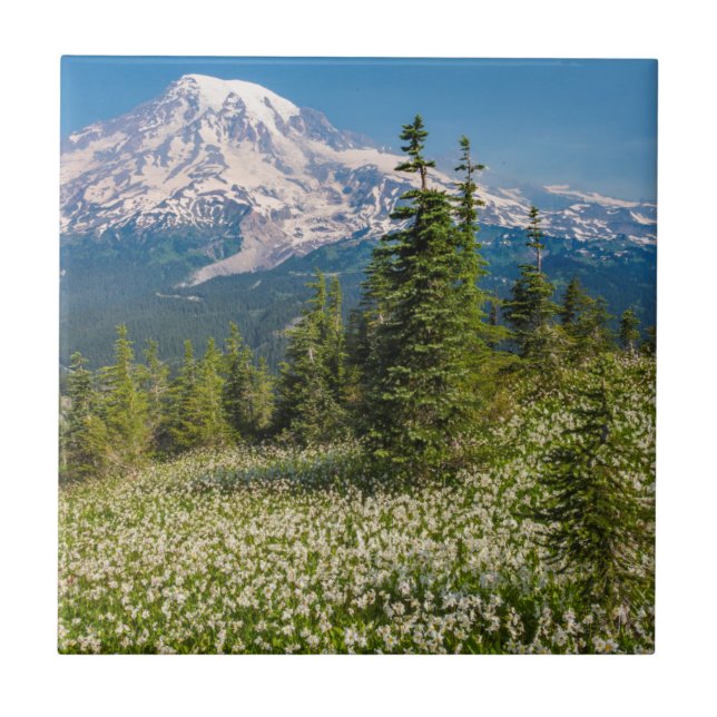 Azulejo De Cerâmica Lírios avalanche e Monte Rainier (Frente)