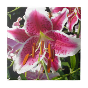 Azulejo De Cerâmica Lírios cor-de-rosa flores tropicais cor-de-rosa fl